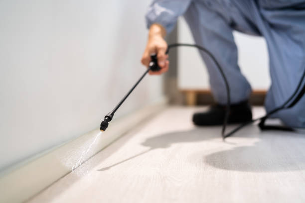 Licensed Pest Control service in Gloster, MS - Show Me Pest Control