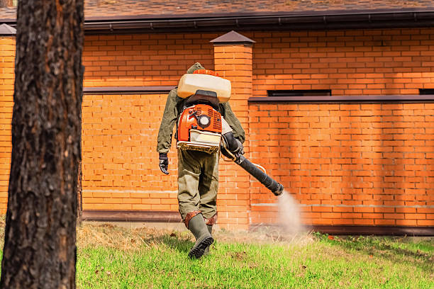 Bed Bug Clearance Verification and Documentation in Gloster